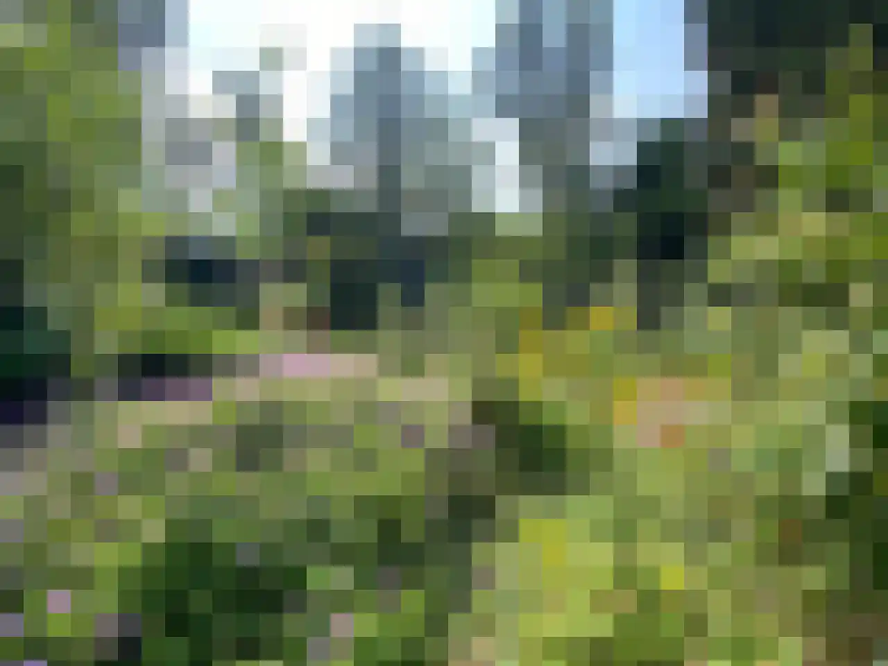 Kieftveen 30 109 Voorthuizen thumbnail 64