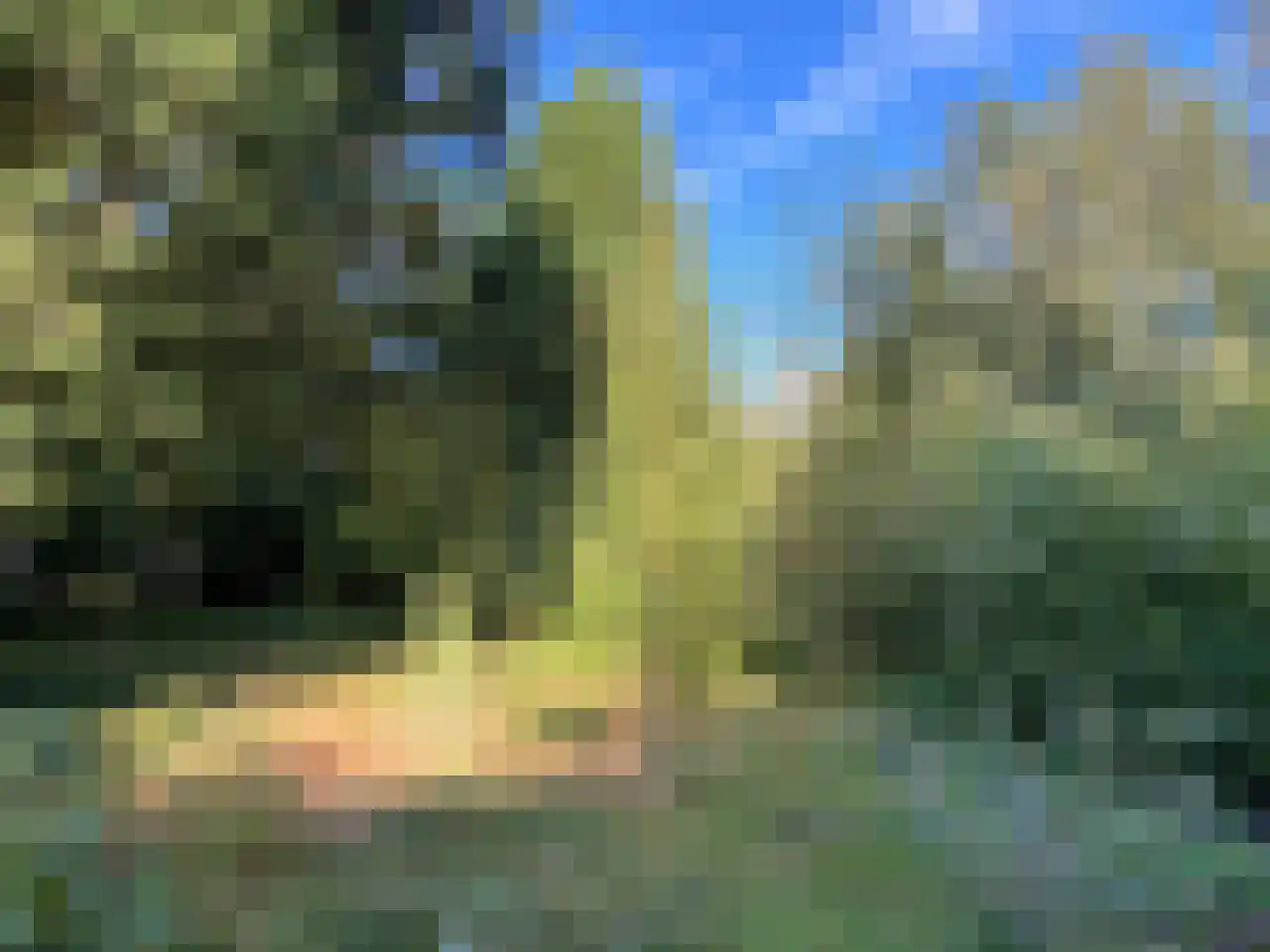 Kieftveen 30 109 Voorthuizen thumbnail 63