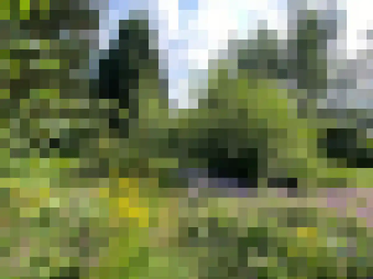 Kieftveen 30 109 Voorthuizen thumbnail 64