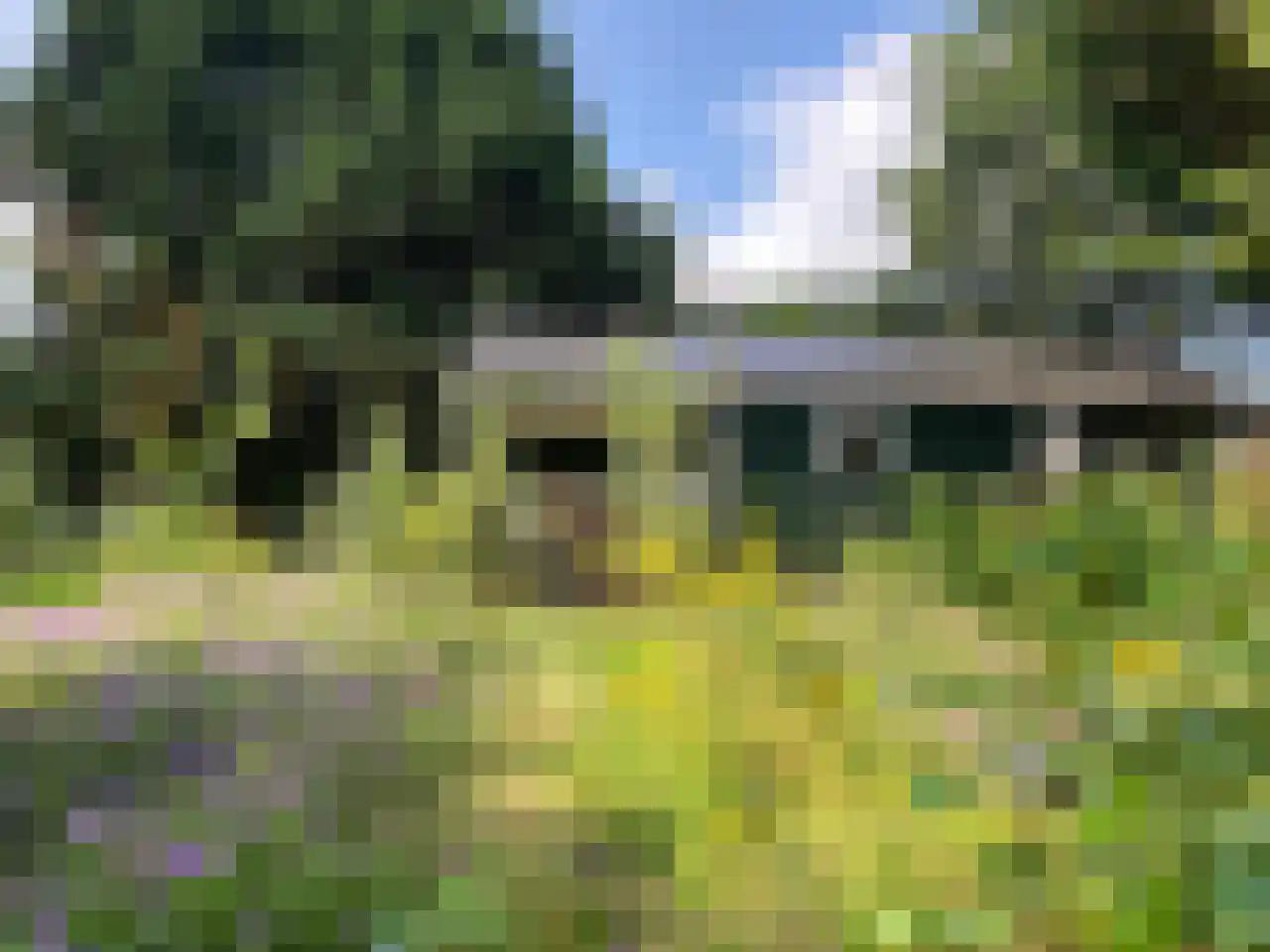 Kieftveen 30 109 Voorthuizen thumbnail 69