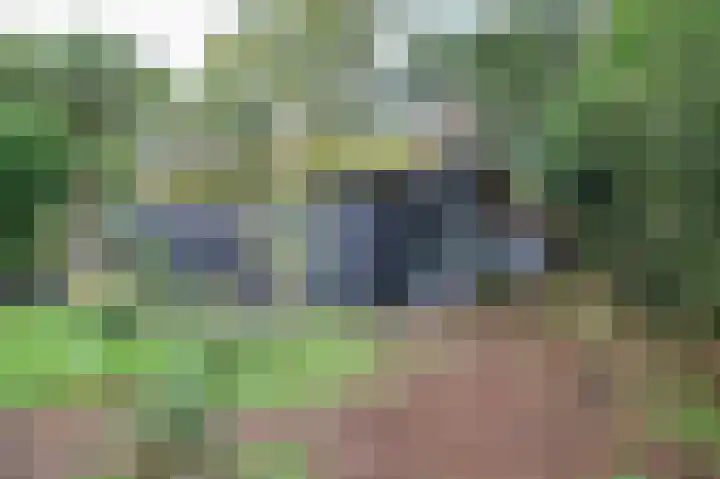 Kieftveen 30 150 Voorthuizen thumbnail 20