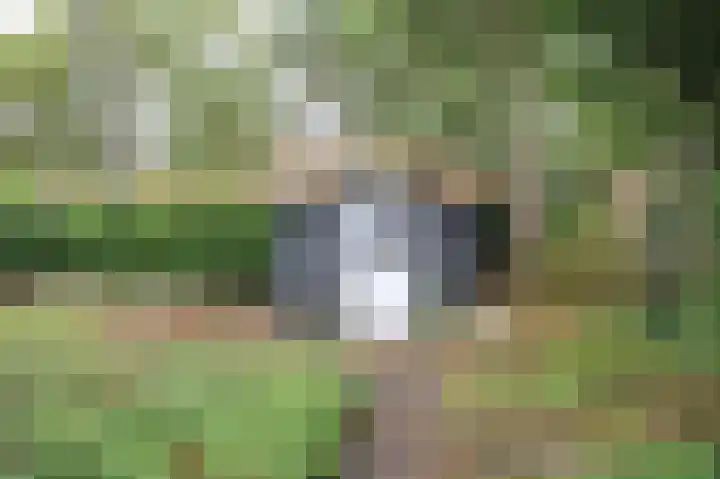 Kieftveen 30 150 Voorthuizen thumbnail 22