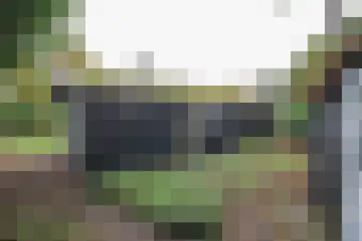 Kieftveen 30 150 Voorthuizen thumbnail 23