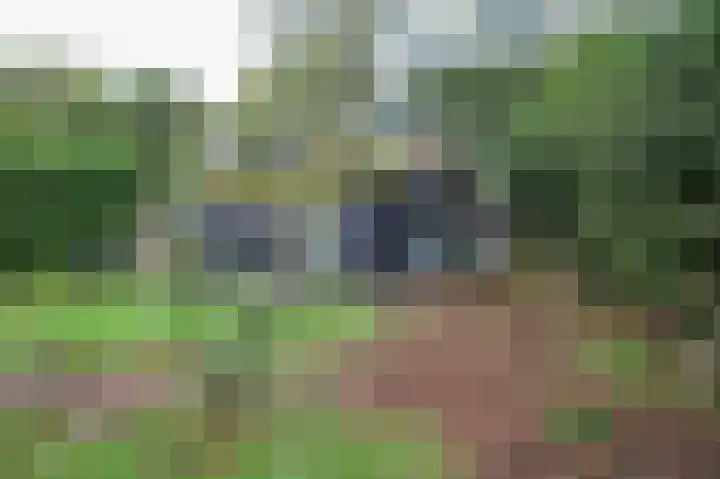 Kieftveen 30 150 Voorthuizen thumbnail 24