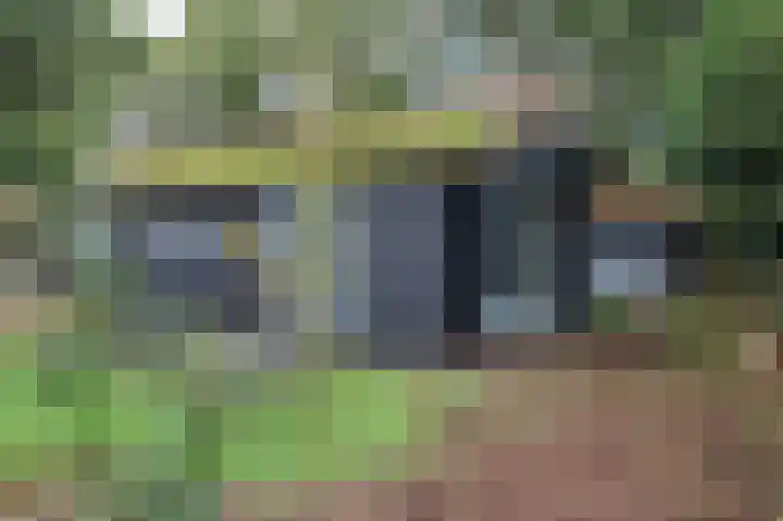 Kieftveen 30 150 Voorthuizen thumbnail 25