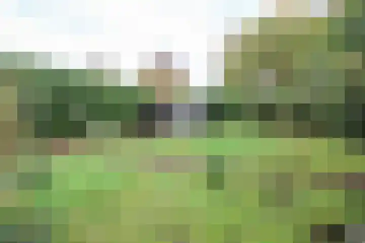 Kieftveen 30 150 Voorthuizen thumbnail 27