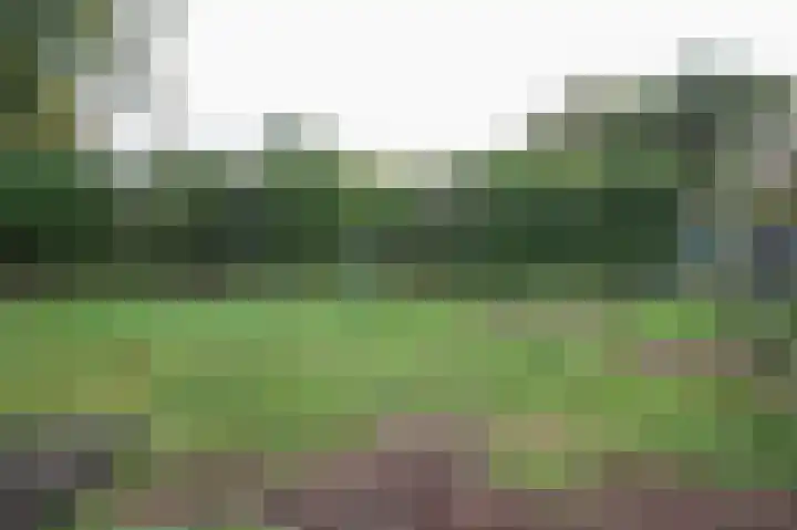 Kieftveen 30 150 Voorthuizen thumbnail 28