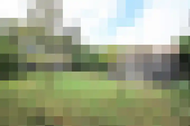 Kieftveen 30 150 Voorthuizen thumbnail 29