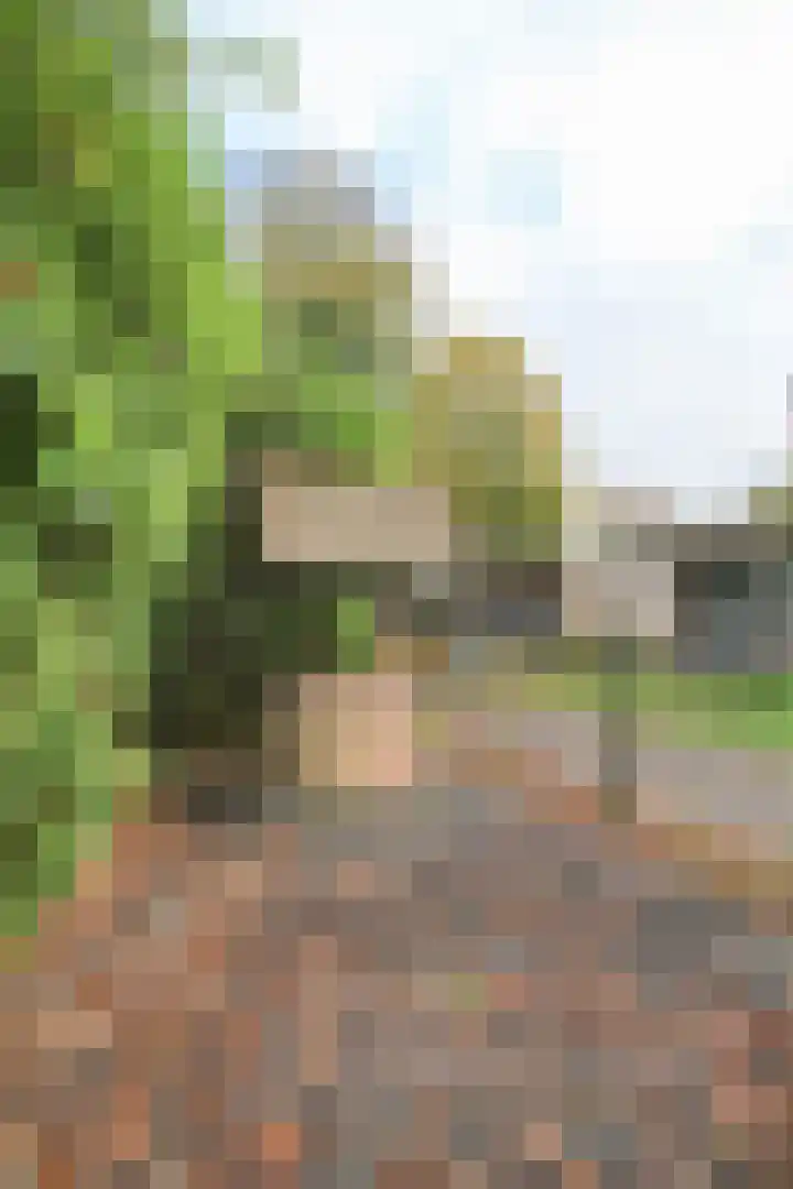 Kieftveen 30 150 Voorthuizen thumbnail 30
