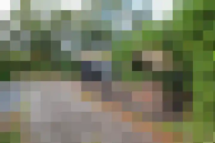 Kieftveen 30 150 Voorthuizen thumbnail 31