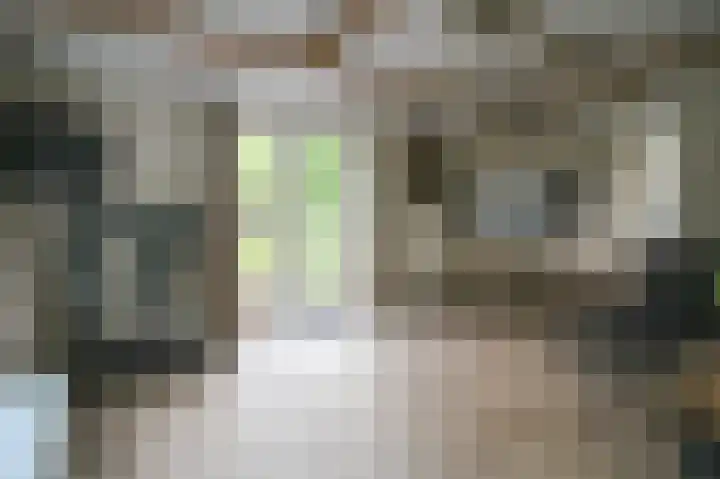 Kieftveen 30 150 Voorthuizen thumbnail 6