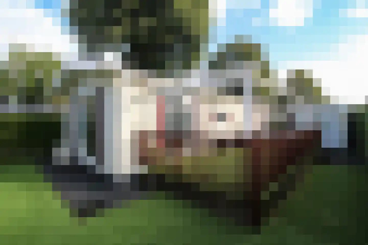 Kieftveen 30 200 Voorthuizen thumbnail 24