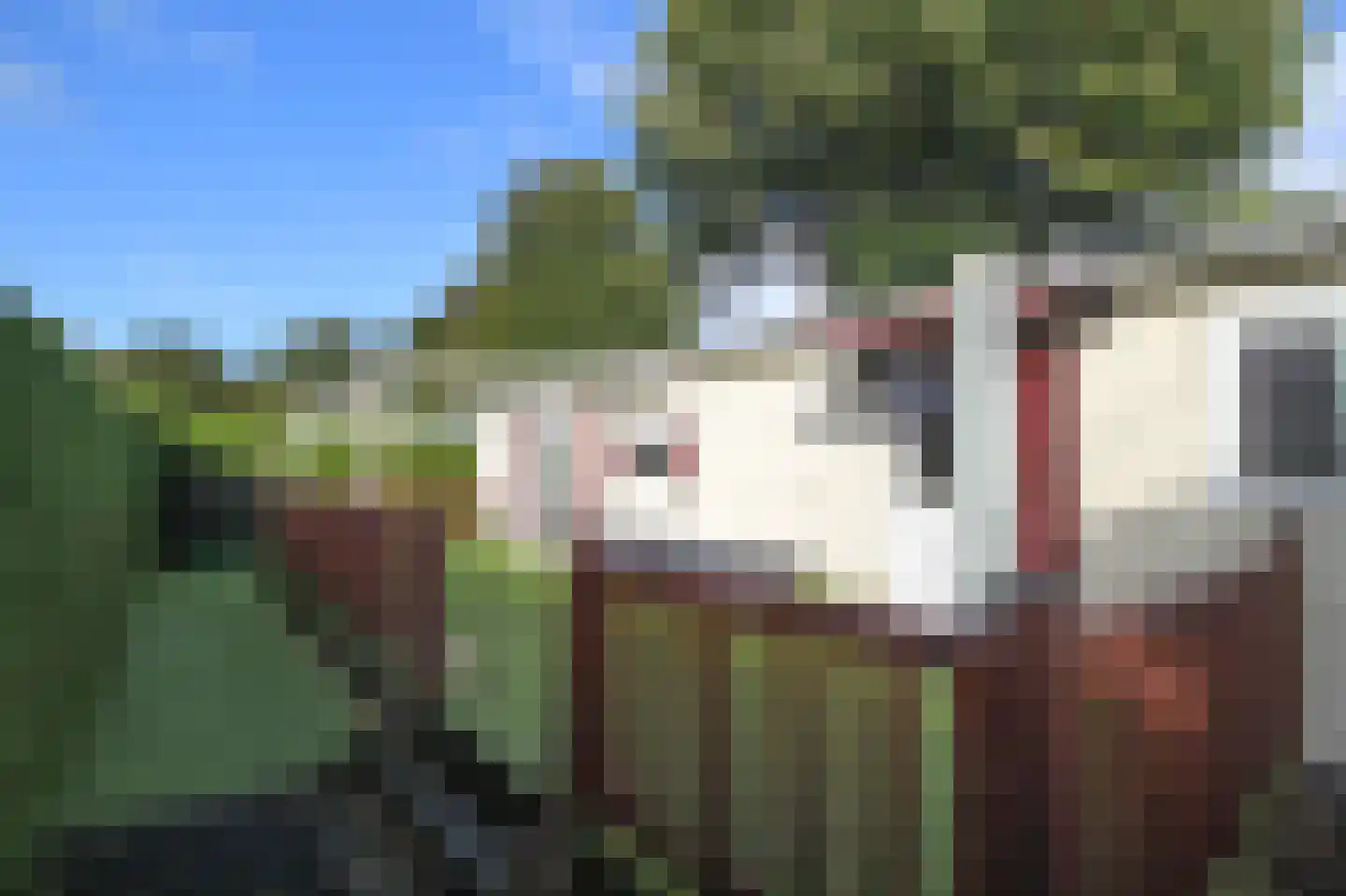 Kieftveen 30 200 Voorthuizen thumbnail 27