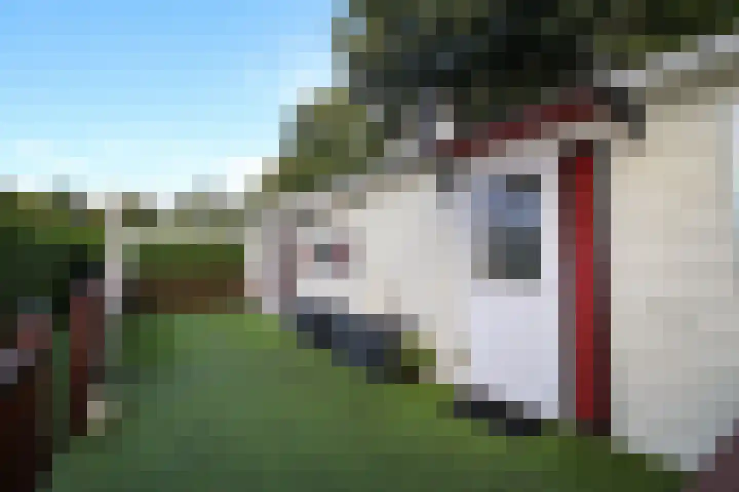 Kieftveen 30 200 Voorthuizen thumbnail 31