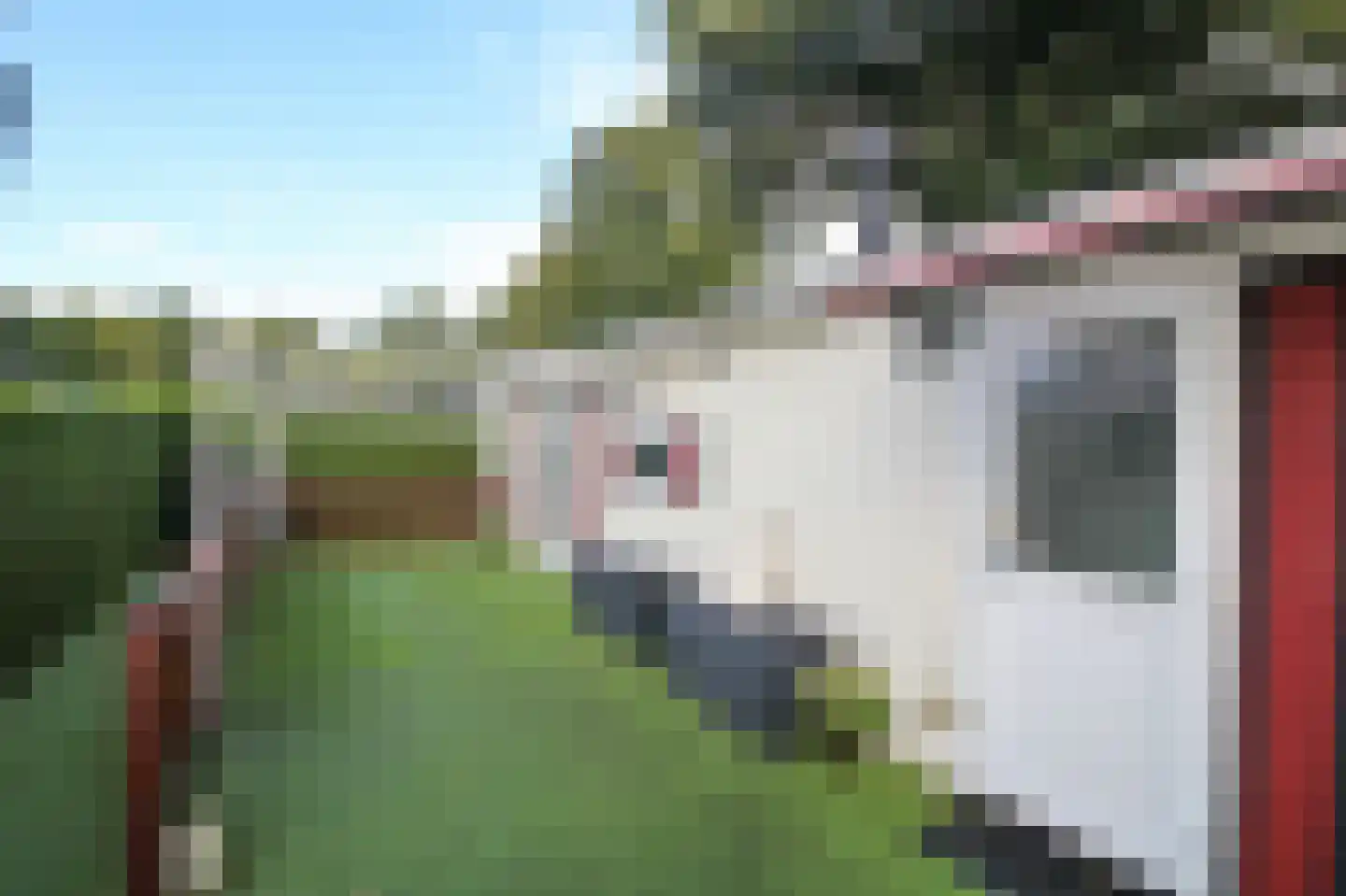Kieftveen 30 200 Voorthuizen thumbnail 33