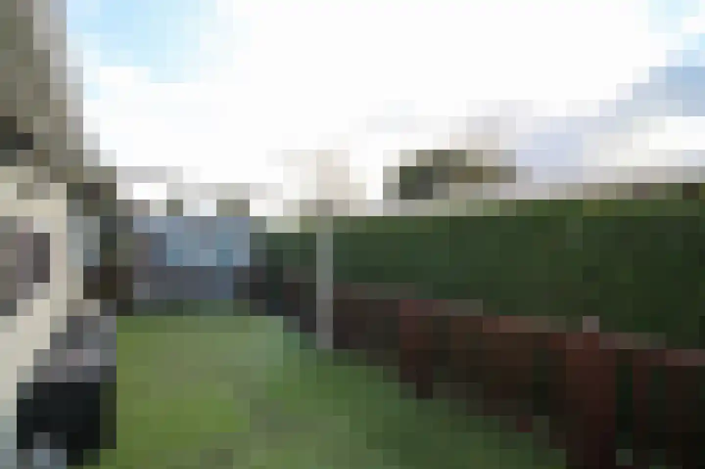 Kieftveen 30 200 Voorthuizen thumbnail 35