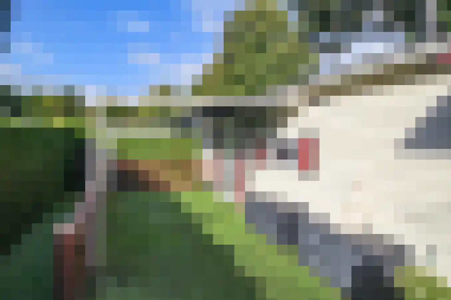 Kieftveen 30 200 Voorthuizen thumbnail 36