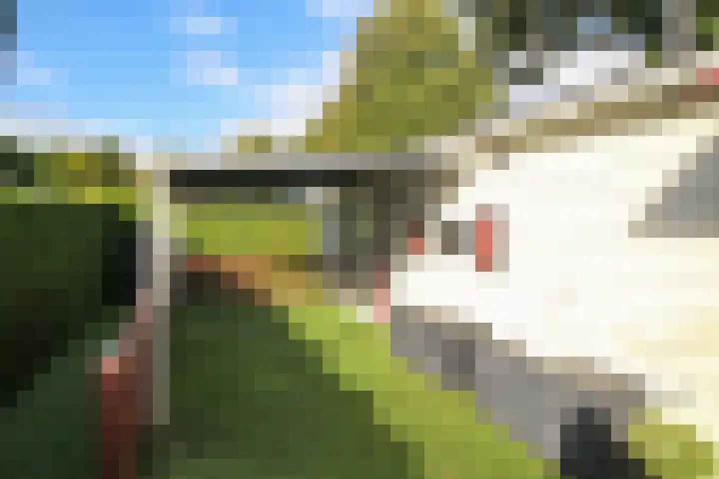 Kieftveen 30 200 Voorthuizen thumbnail 37