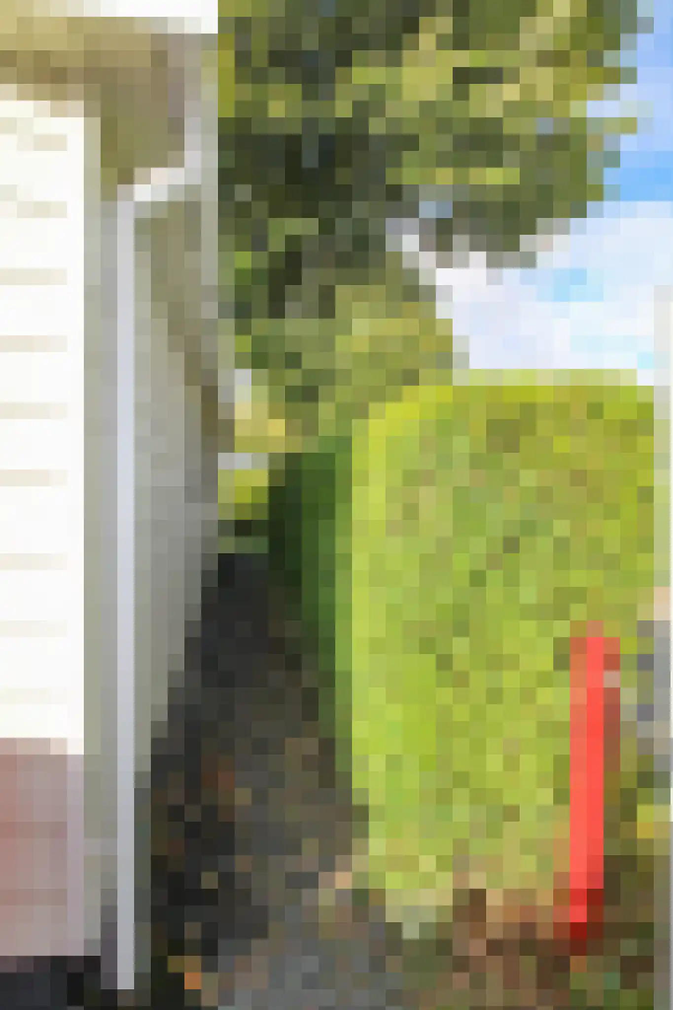 Kieftveen 30 200 Voorthuizen thumbnail 45