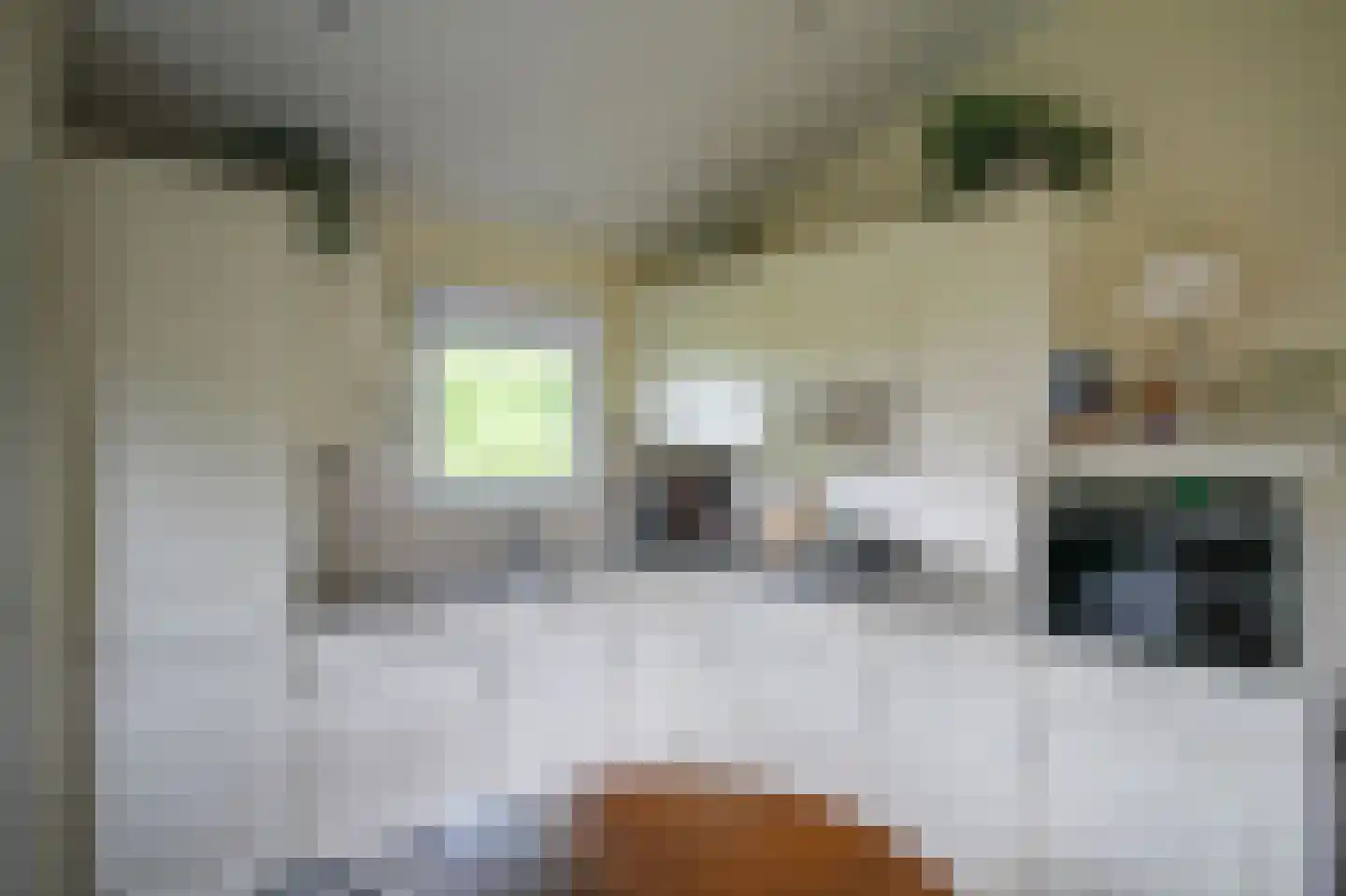 Kieftveen 30 307 Voorthuizen thumbnail 8