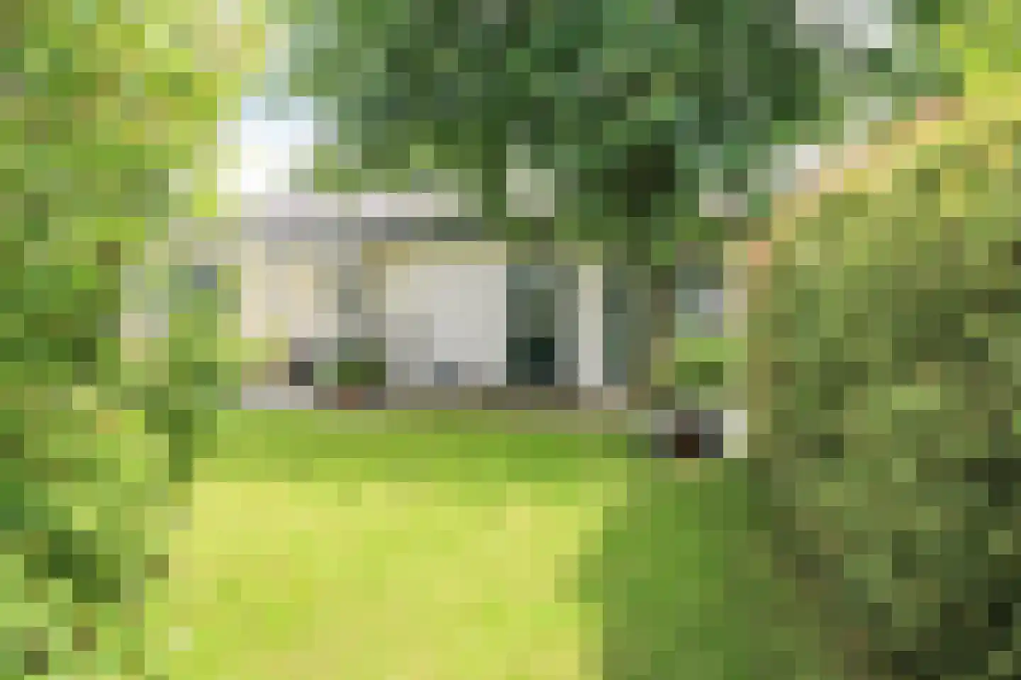 Kieftveen 30 310 Voorthuizen thumbnail 35