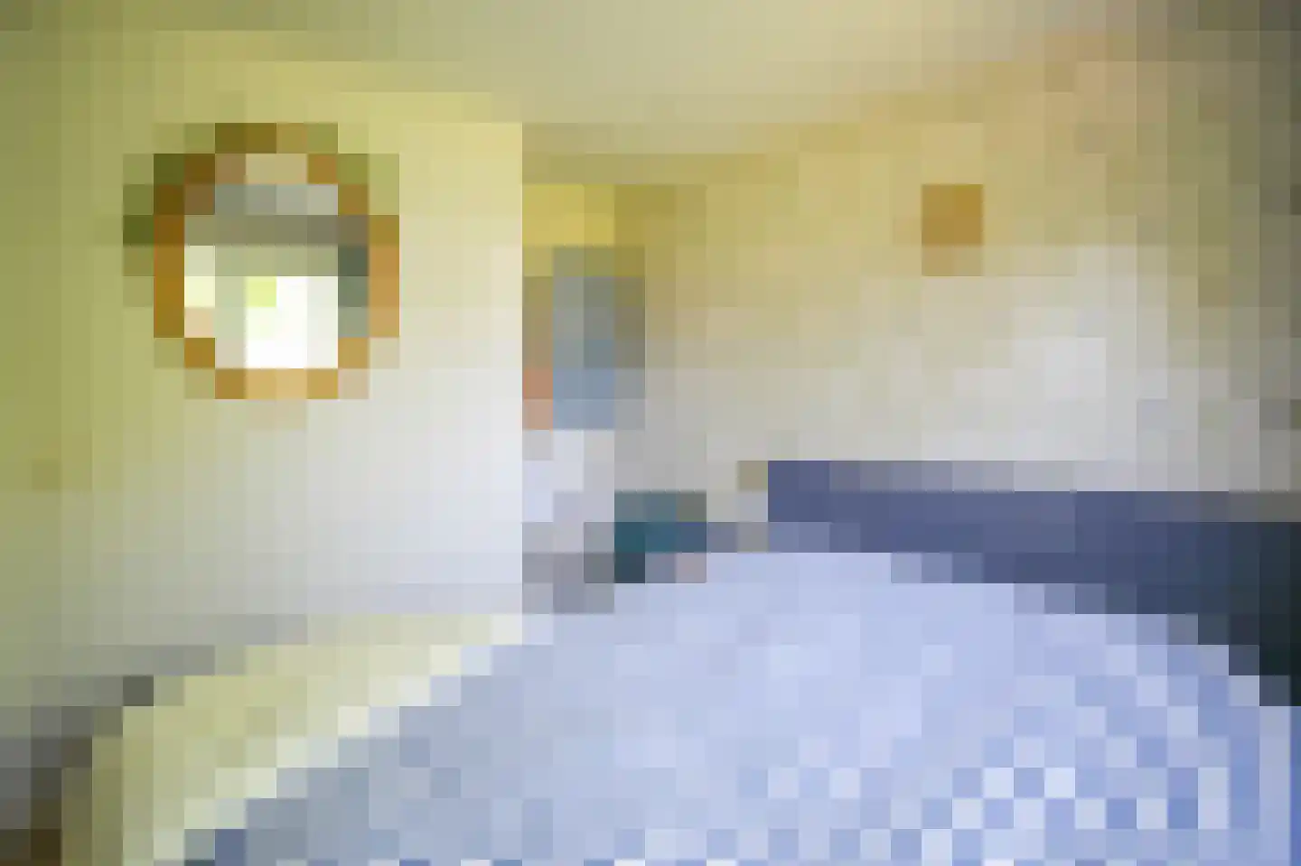 Kieftveen 30 313 Voorthuizen thumbnail 16