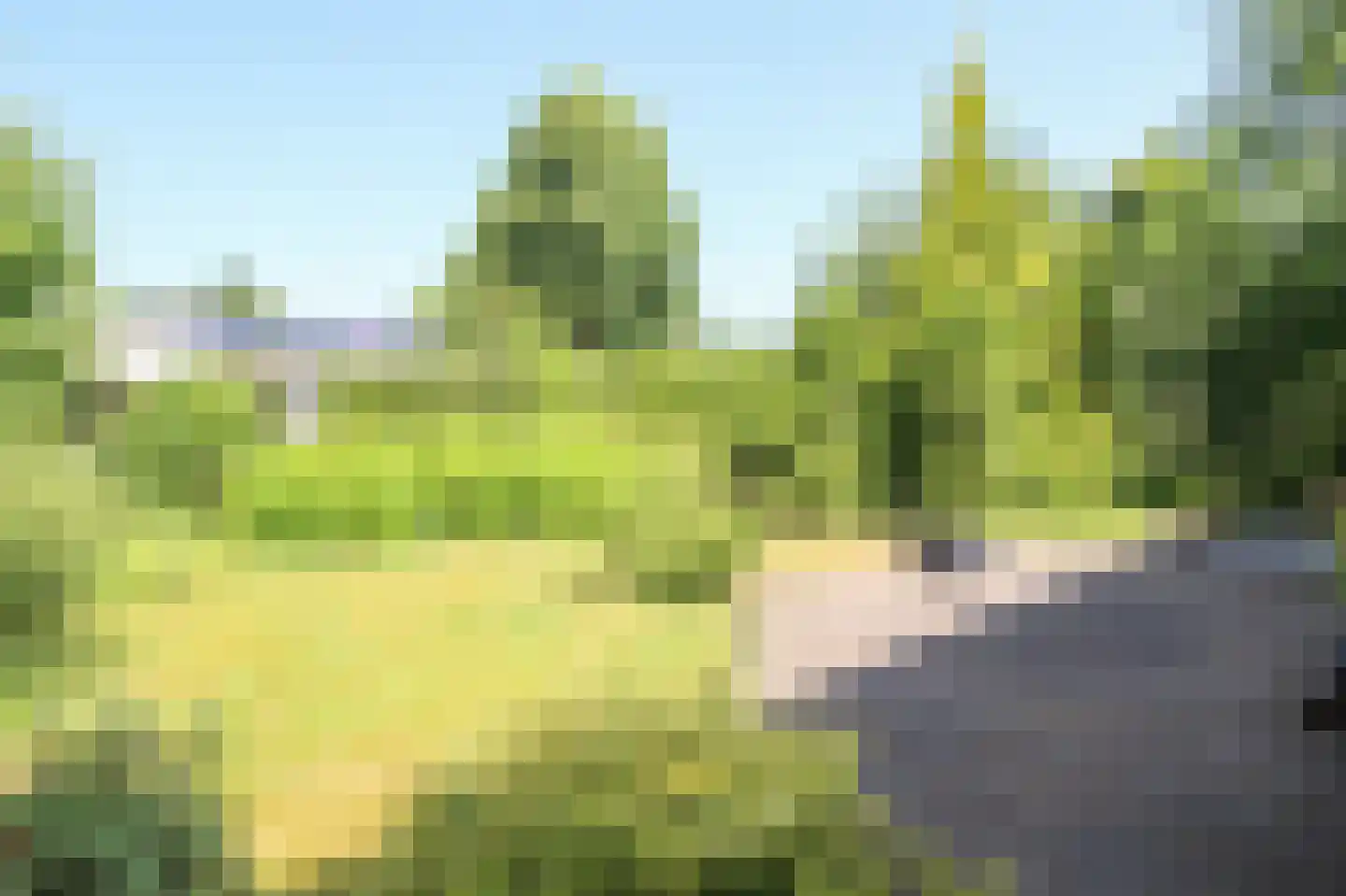 Kieftveen 30 313 Voorthuizen thumbnail 34