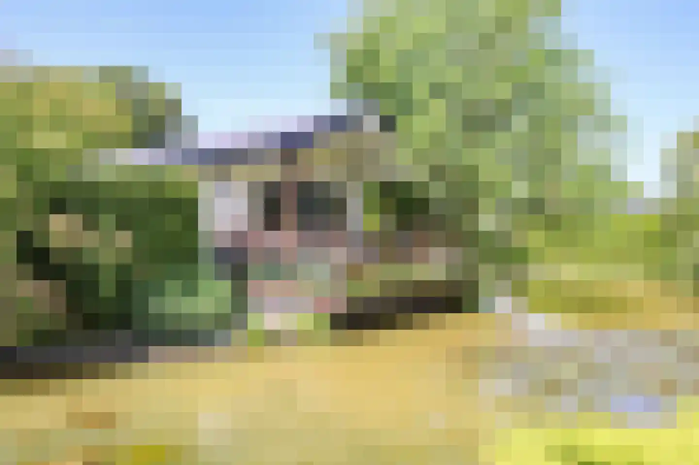 Kieftveen 30 313 Voorthuizen thumbnail 39