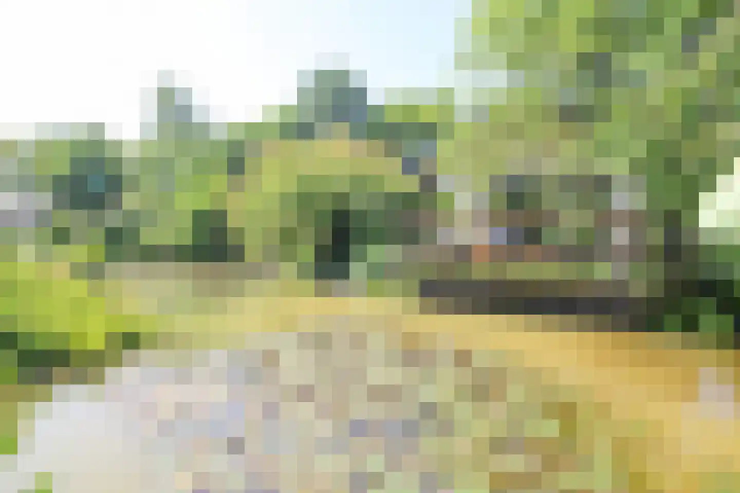 Kieftveen 30 313 Voorthuizen thumbnail 42