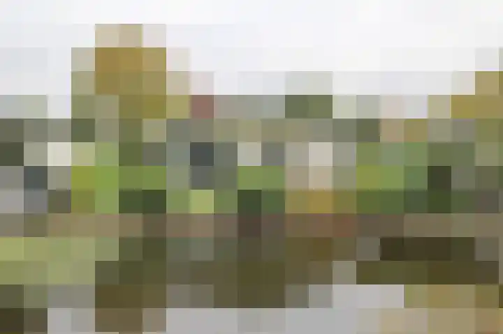 Kieftveen 30 319 Voorthuizen thumbnail 23