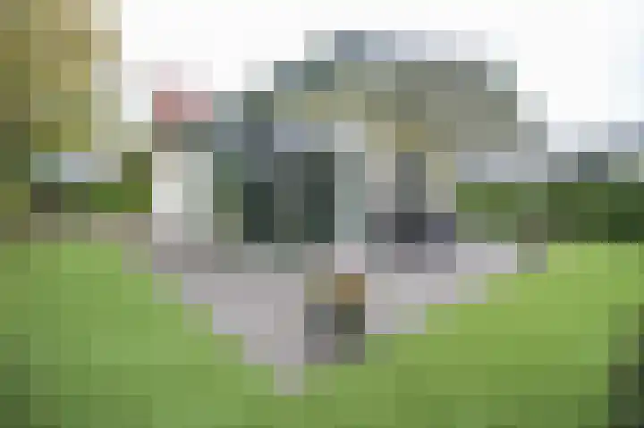 Kieftveen 30 319 Voorthuizen thumbnail 24