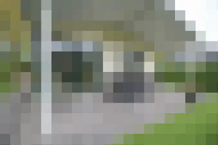 Kieftveen 30 319 Voorthuizen thumbnail 25