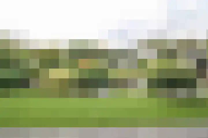 Kieftveen 30 319 Voorthuizen thumbnail 31