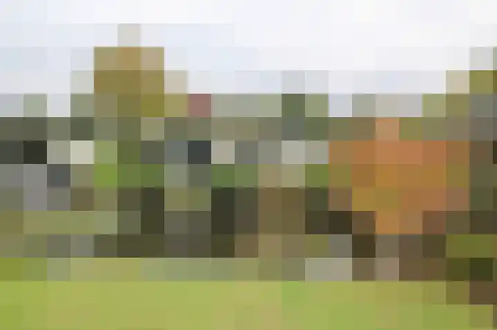 Kieftveen 30 319 Voorthuizen thumbnail 41