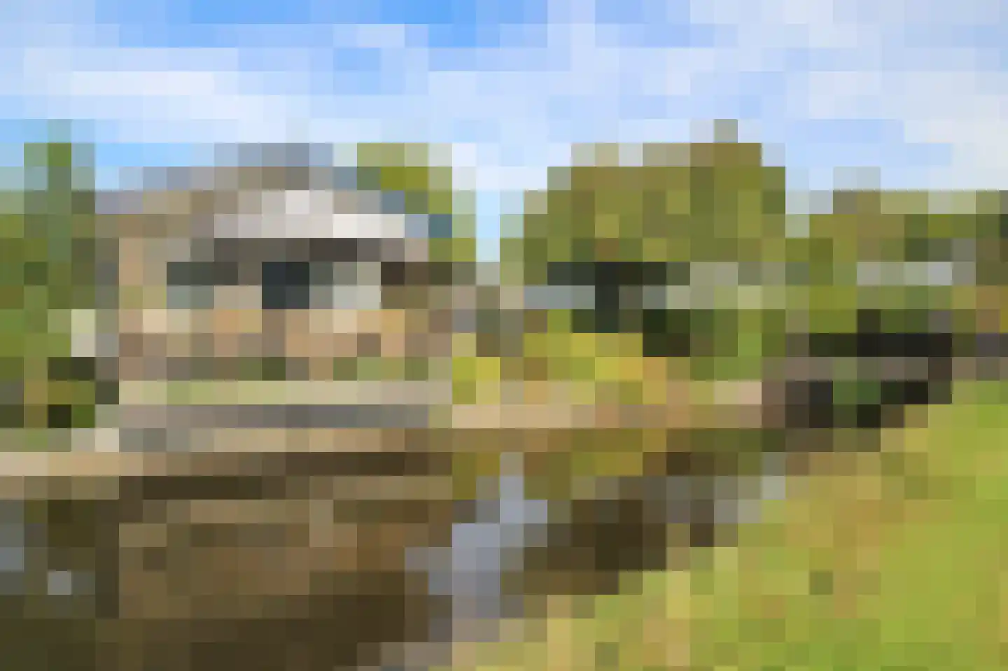 Kieftveen 30 320 Voorthuizen thumbnail 25