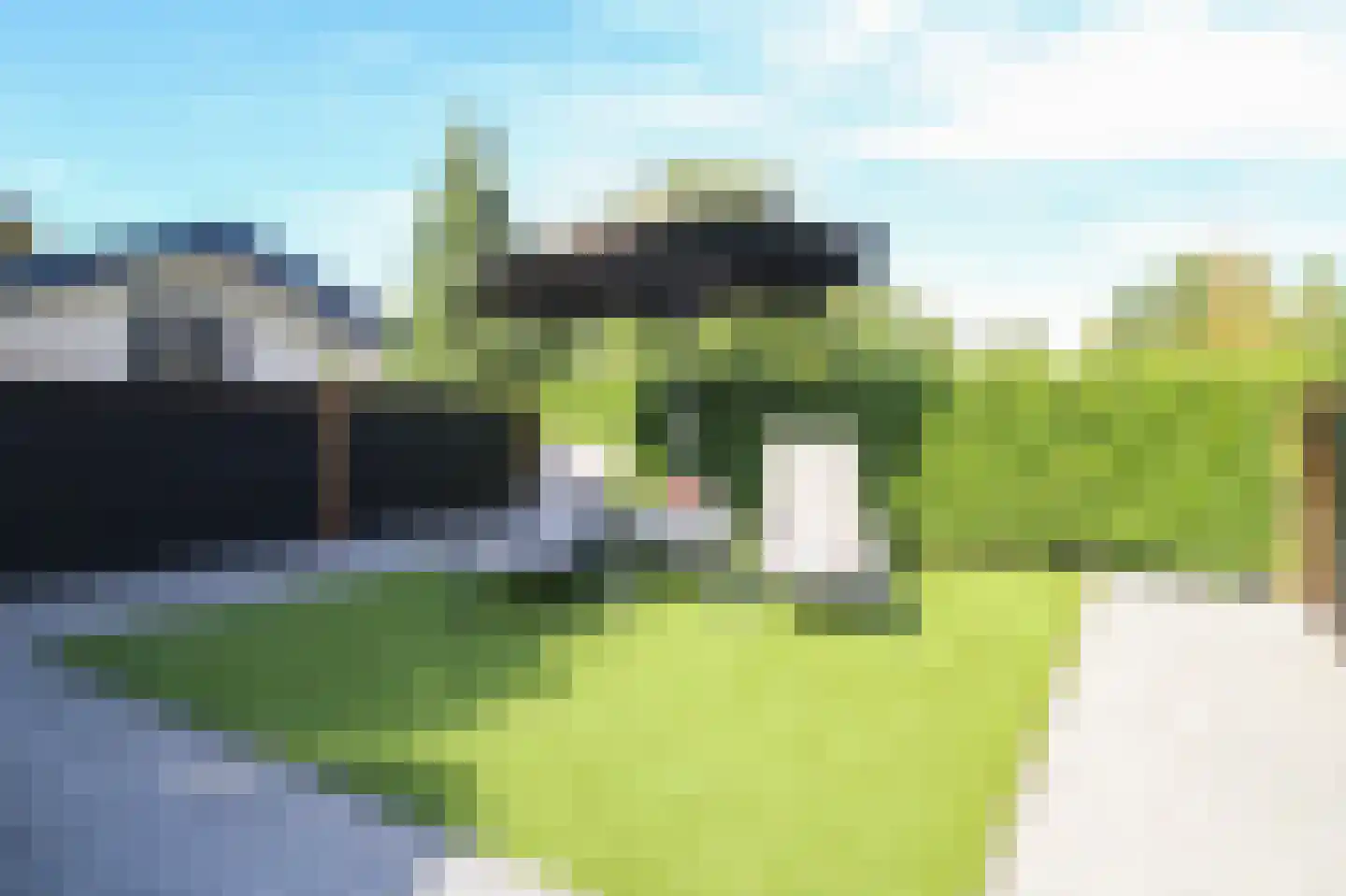 Kieftveen 30 320 Voorthuizen thumbnail 31