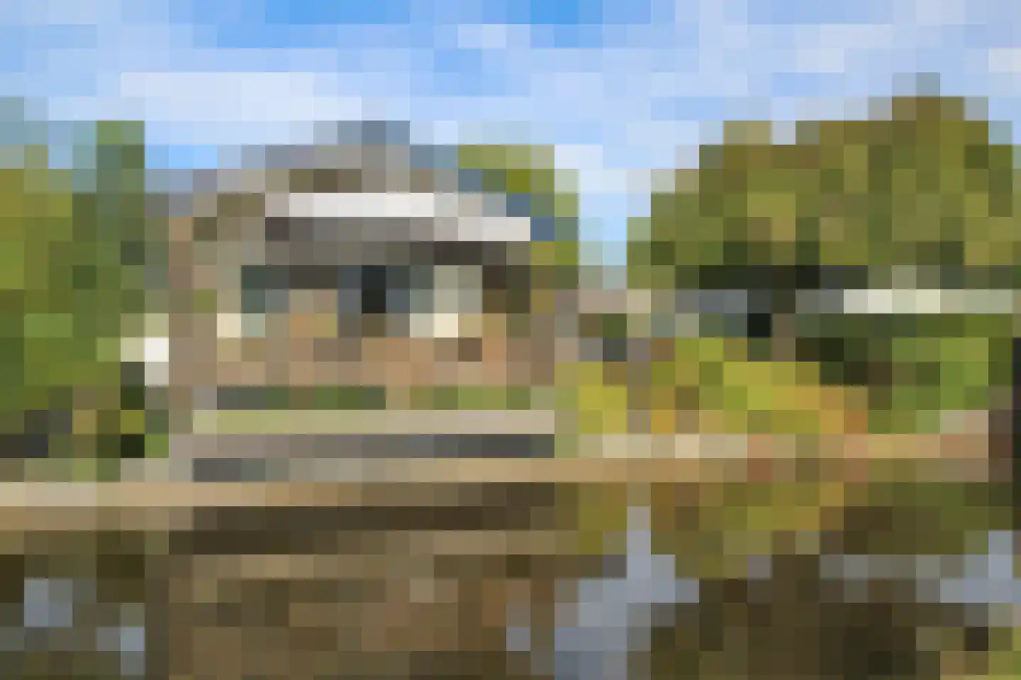 Kieftveen 30 320 Voorthuizen thumbnail 46