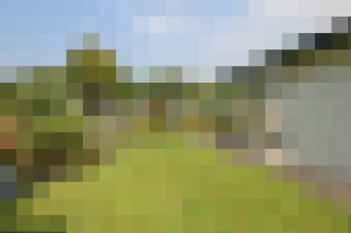 Kieftveen 30 322 Voorthuizen thumbnail 27