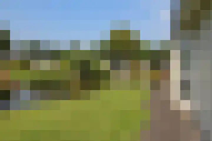 Kieftveen 30 322 Voorthuizen thumbnail 28