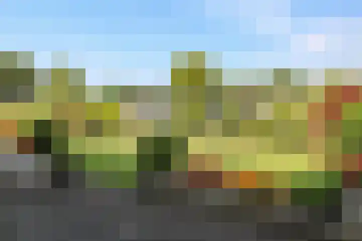 Kieftveen 30 322 Voorthuizen thumbnail 34