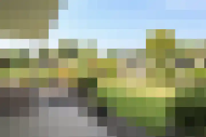 Kieftveen 30 322 Voorthuizen thumbnail 35