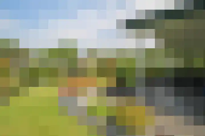 Kieftveen 30 322 Voorthuizen thumbnail 38