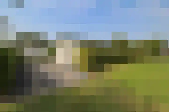 Kieftveen 30 322 Voorthuizen thumbnail 39