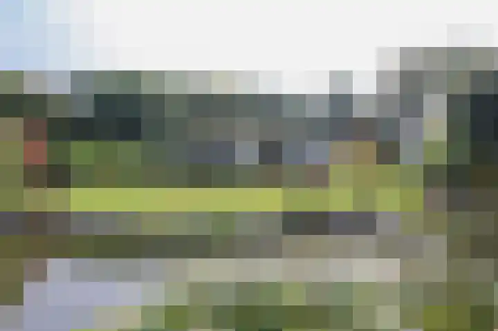 Kieftveen 30 322 Voorthuizen thumbnail 42