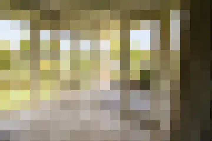 Kieftveen 30 322 Voorthuizen thumbnail 6