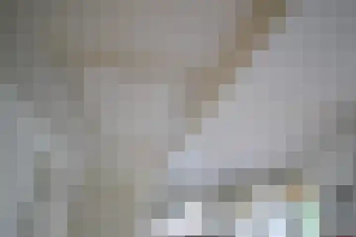 Kieftveen 30 333 Voorthuizen thumbnail 11