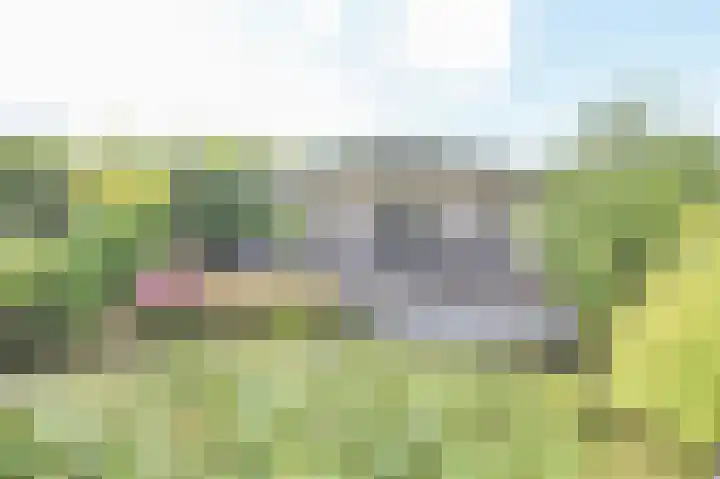 Kieftveen 30 333 Voorthuizen thumbnail 28