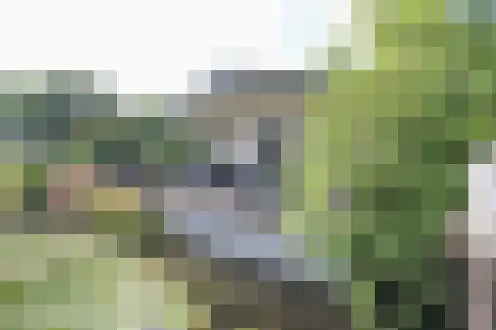Kieftveen 30 333 Voorthuizen thumbnail 29