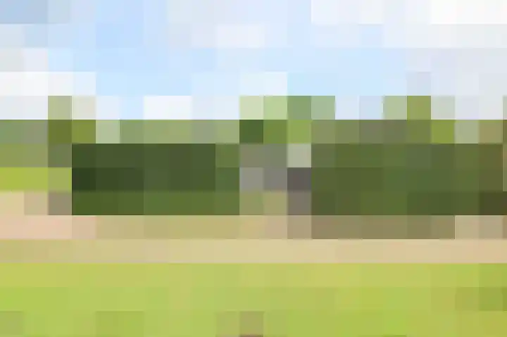 Kieftveen 30 333 Voorthuizen thumbnail 33