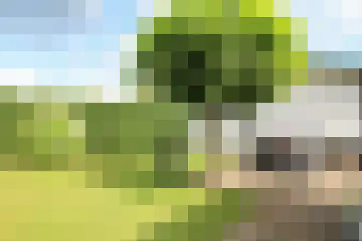 Kieftveen 30 333 Voorthuizen thumbnail 35